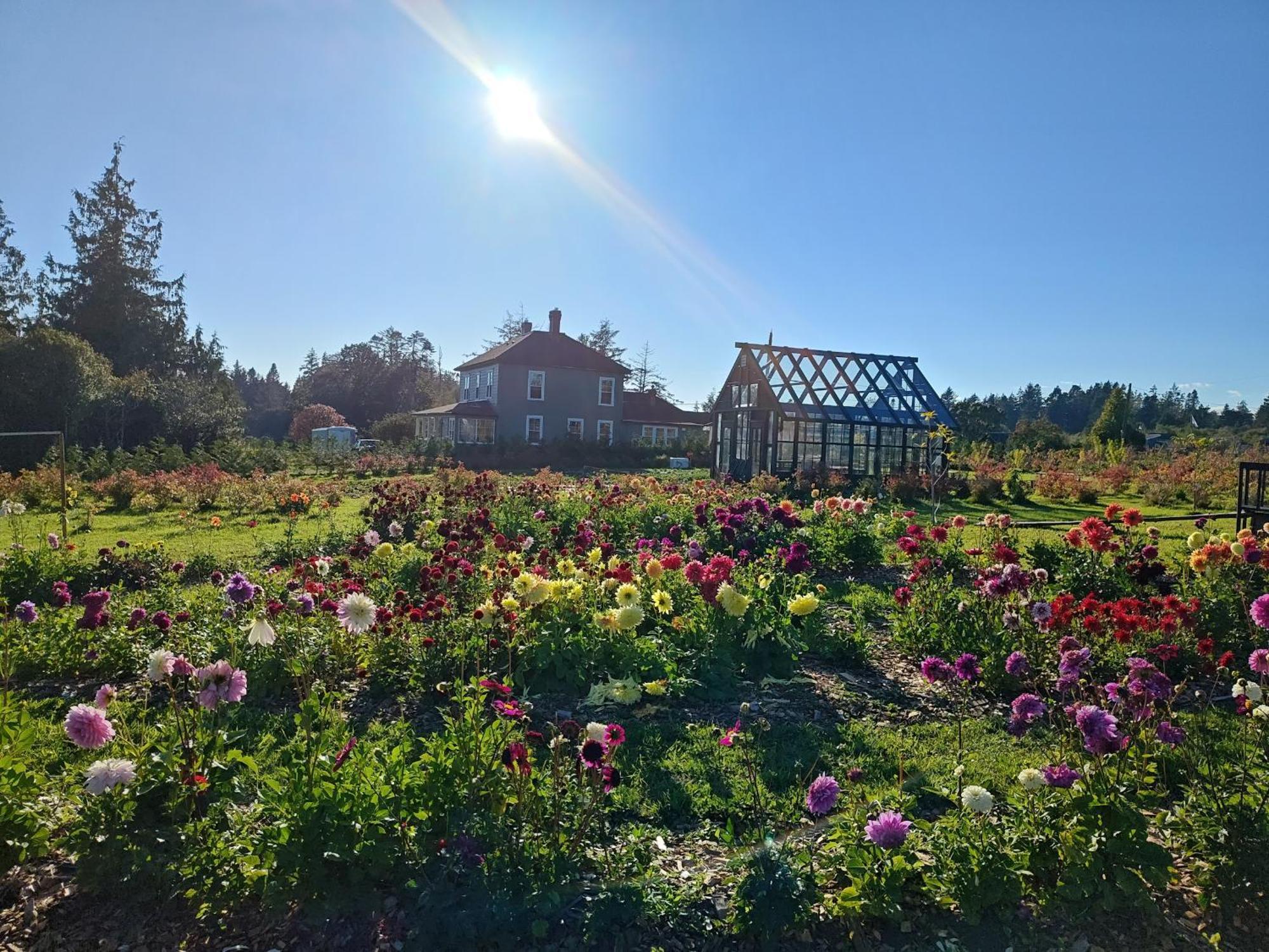 سووك Woodside Farm Country Inn المظهر الخارجي الصورة