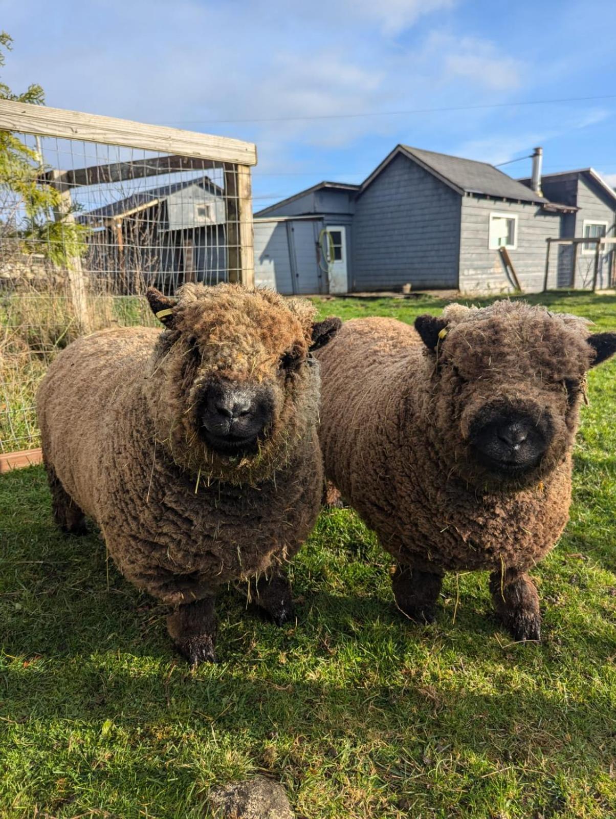 سووك Woodside Farm Country Inn المظهر الخارجي الصورة